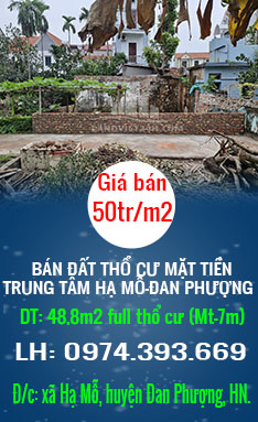 CHÍNH CHỦ BÁN ĐẤT THỔ CƯ MẶT TIỀN TRUNG TÂM HẠ MỖ-ĐAN PHƯỢNG - Ảnh chính